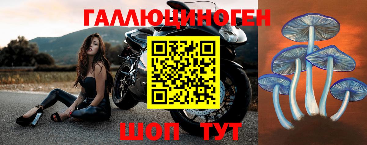 Псилоцибиновые грибы GOLDEN TEACHER Березники